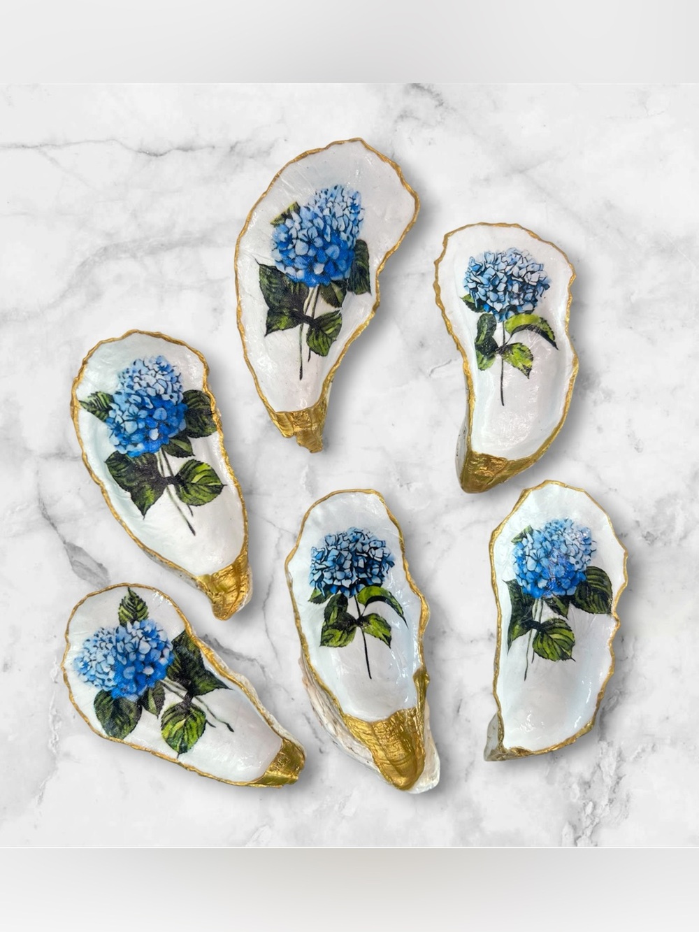 Hydrangea Oyster Shell Collection